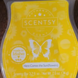 Scentsy Bar